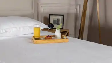 Комплект Матрас SERTA PARKER + Чехол Protect-a-Bed Terry Askona изображение товара - 23 - превью