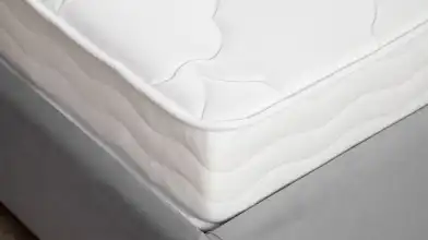 Комплект Матрас Family Mild + Чехол Protect-a-Bed Simple Askona изображение товара - 3 - превью