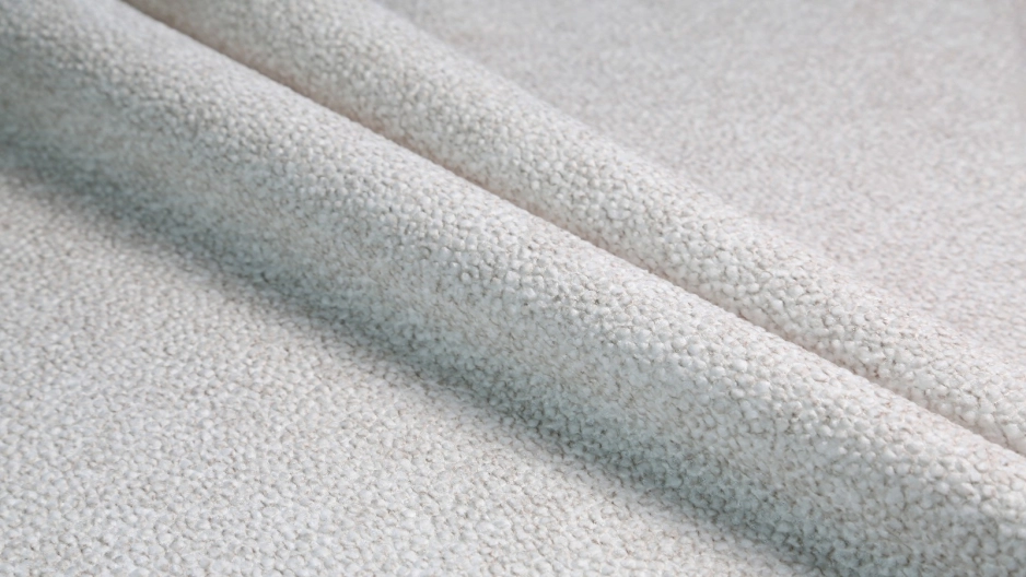 Ovis 01