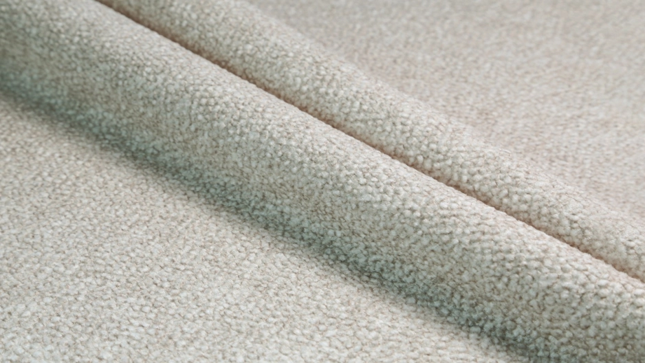Ovis 81