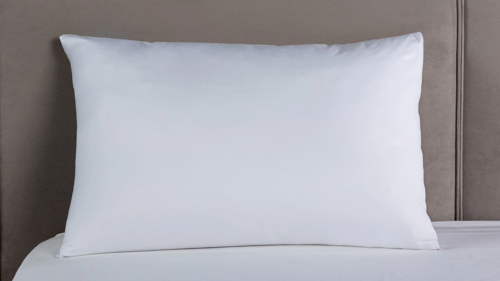 Комплект Alpha Technology 2.0 + чехол Protect-a-bed Tencel картинка - 20 - большое изображение